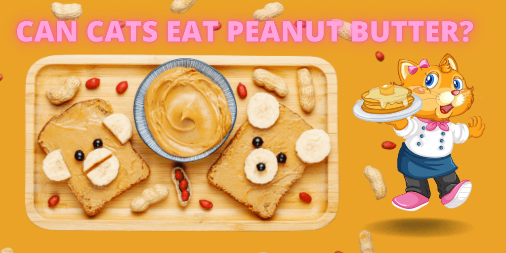 can cats eat peanut butter